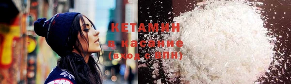 гашик Алексин