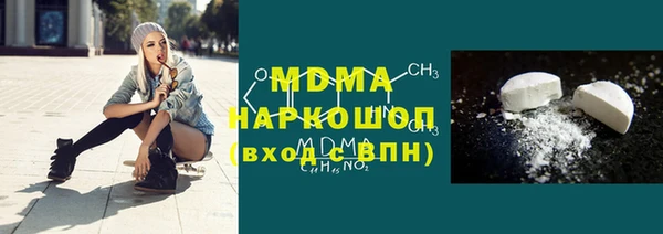 гашик Алексин