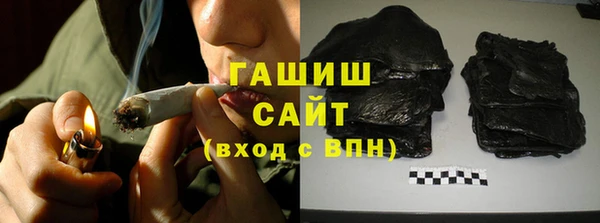 гашик Алексин