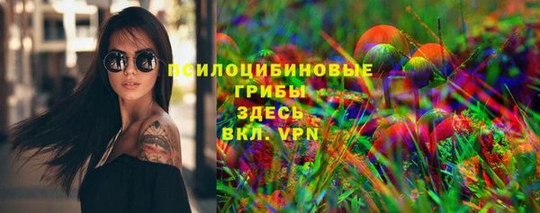 гашик Арсеньев