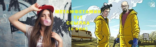 гашик Алексин