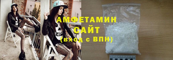 гашик Алексин