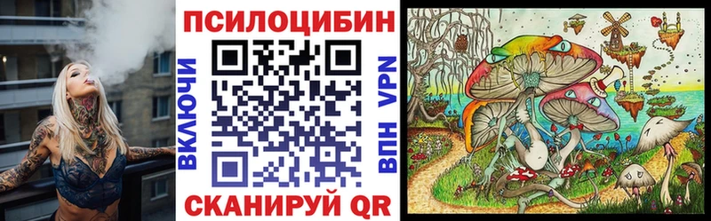 Псилоцибиновые грибы мицелий  Набережные Челны 